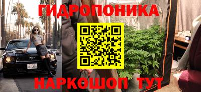 гашик Конаково