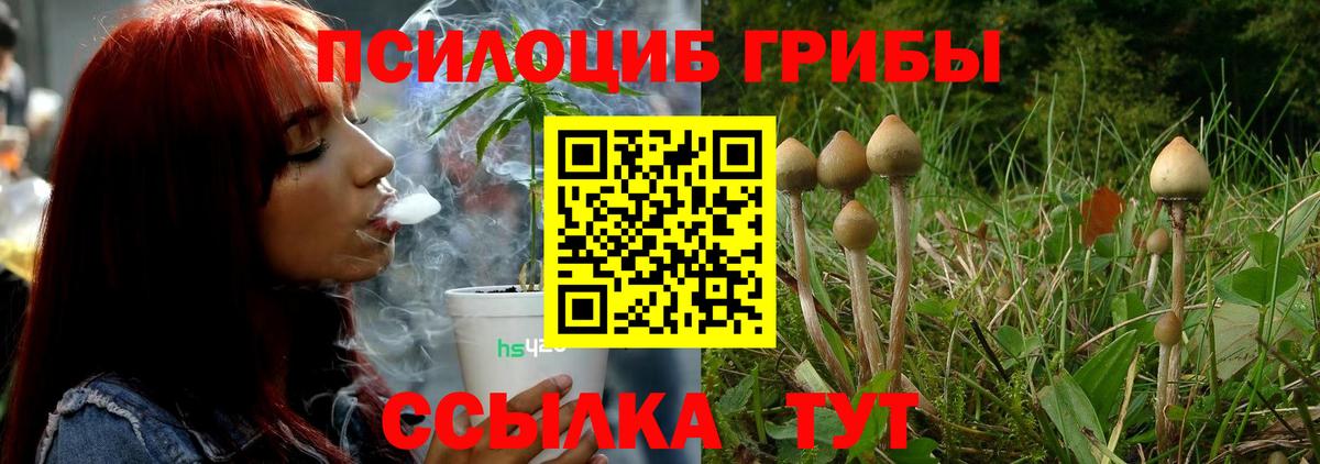 Псилоцибиновые грибы мухоморы  Вход с VPN  Красноуфимск 
