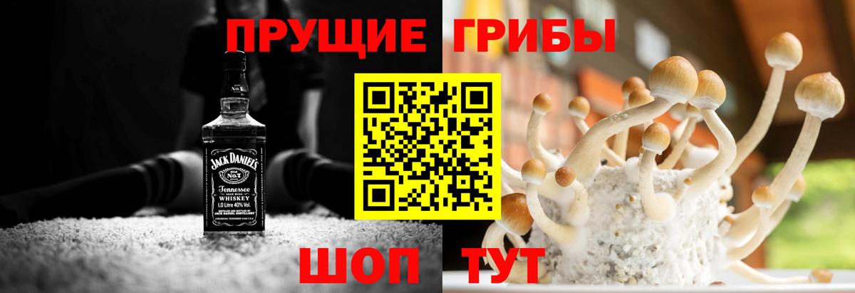 Псилоцибиновые грибы прущие грибы Красноуфимск